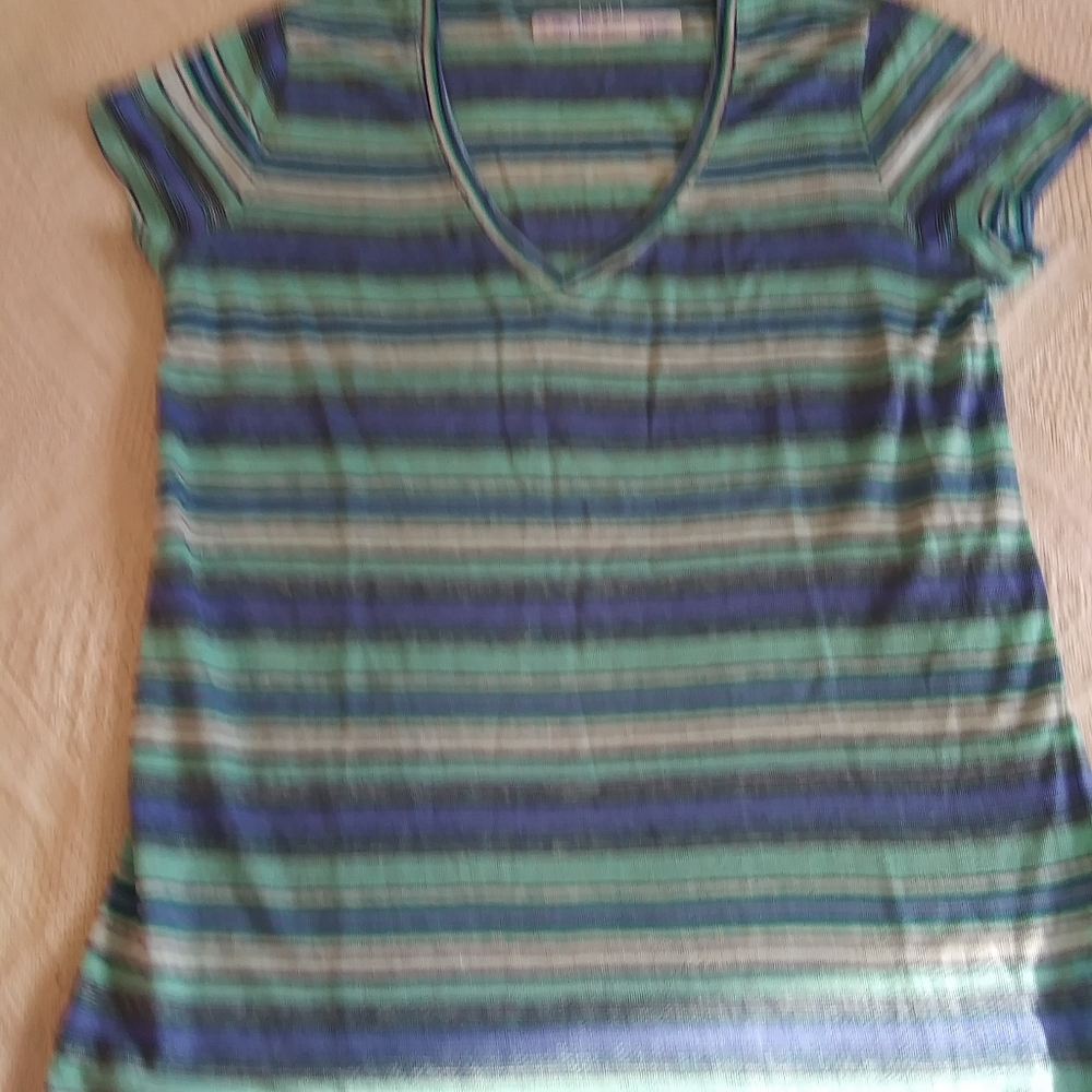 Womens- S Gap  Blue & Green Stripe V neck Tee